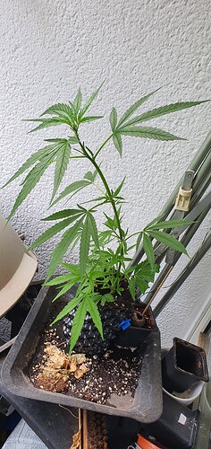 Growreport Bild 17