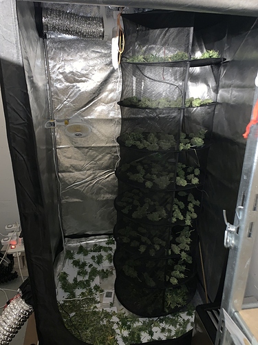 Growreport Bild 14