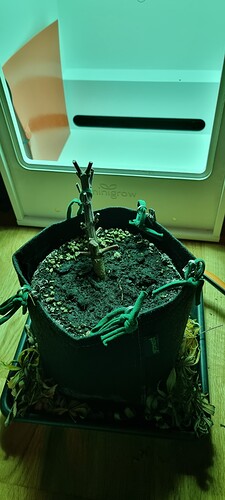 Growreport Bild 8