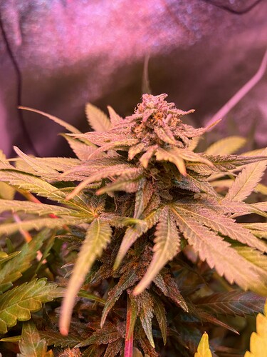 Growreport Bild 18