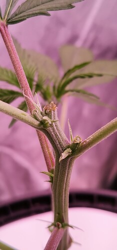 IMG_20220129_130246