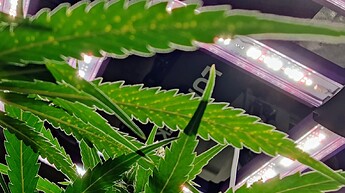 IMG_20220710_224558~2