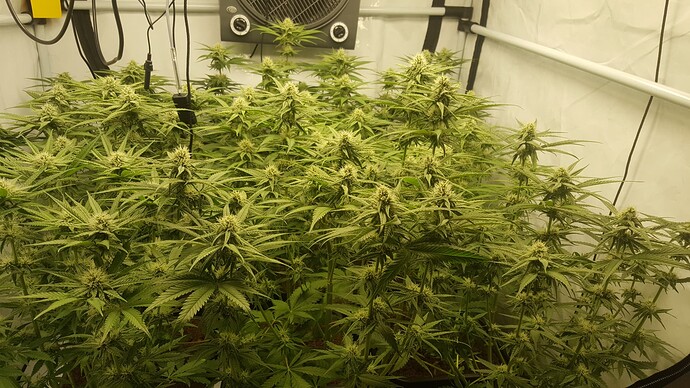 Growreport Bild 2