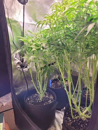 Growreport Bild 6