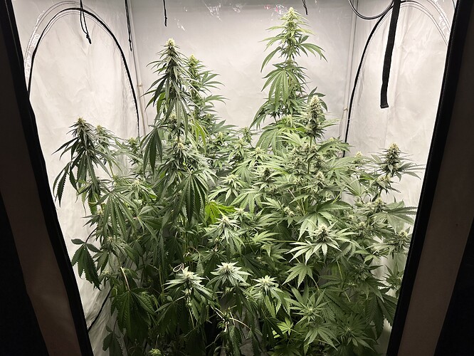 Growreport Bild 2