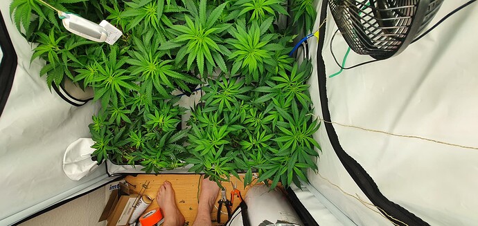 Growreport Bild 2