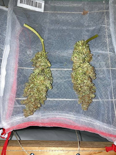 Growreport Bild 11