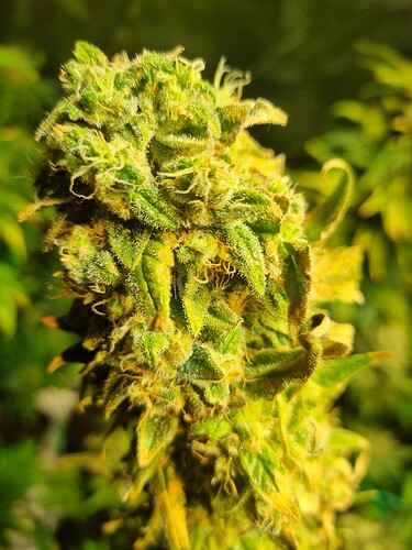 Growreport Bild 18