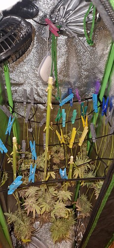Growreport Bild 14