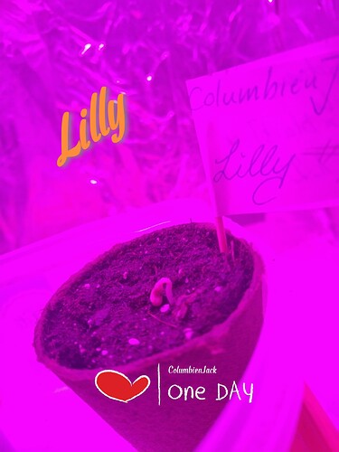 IMG_20240112_161539_edit_112080999261253