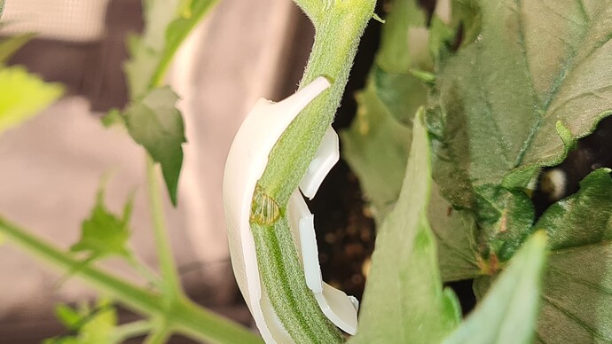 Growreport Bild 7