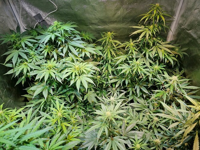 Growreport Bild 11