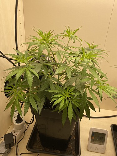 Growreport Bild 3