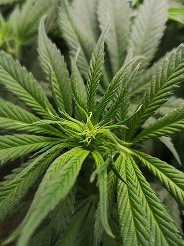 Growreport Bild 3