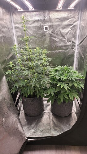 Growreport Bild 7