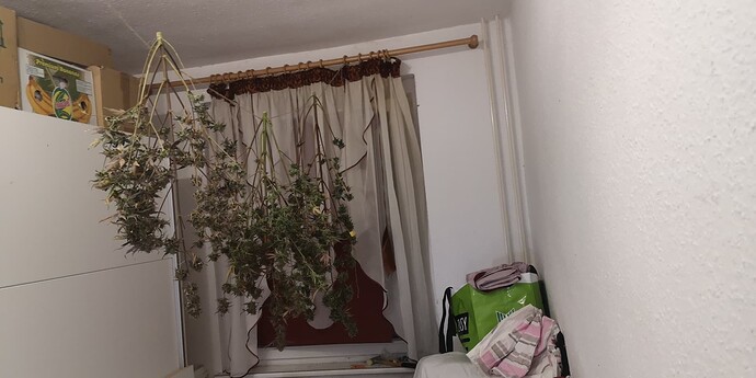 Growreport Bild 15
