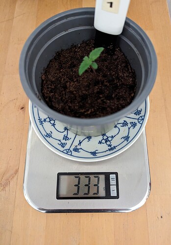 Growreport Bild 4