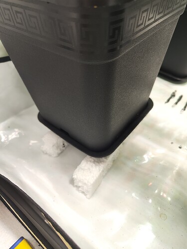 Growreport Bild 2