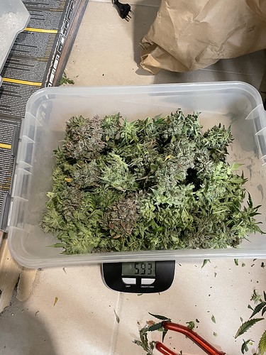 Growreport Bild 3