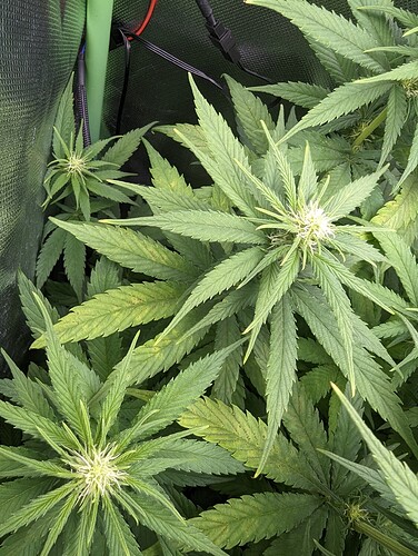 Growreport Bild 10