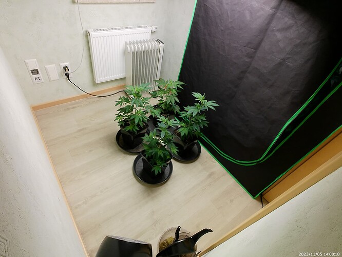 Growreport Bild 8