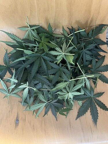 Growreport Bild 16