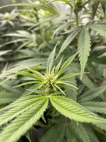 Growreport Bild 4