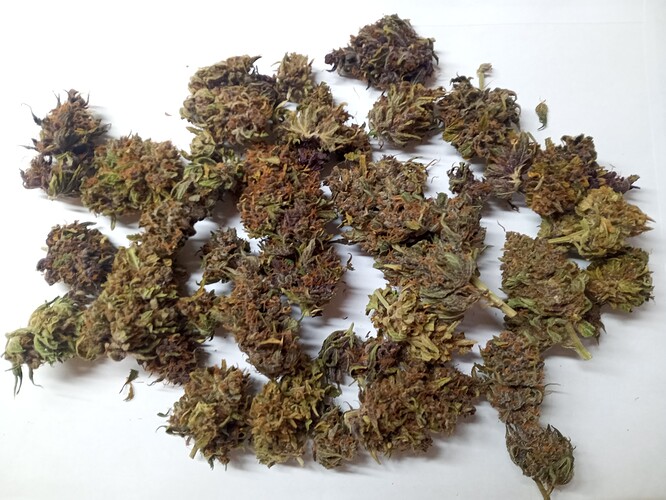 Growreport Bild 8