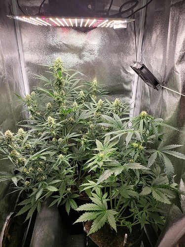 Growreport Bild 2