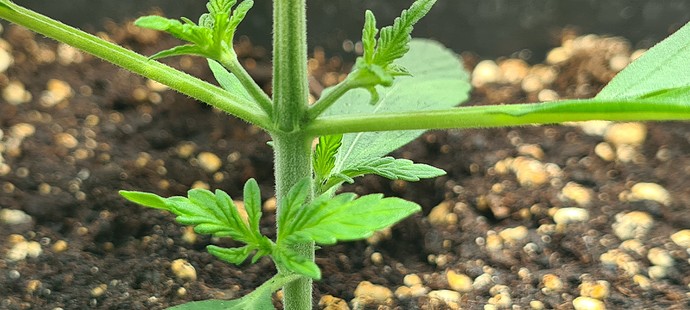Growreport Bild 14