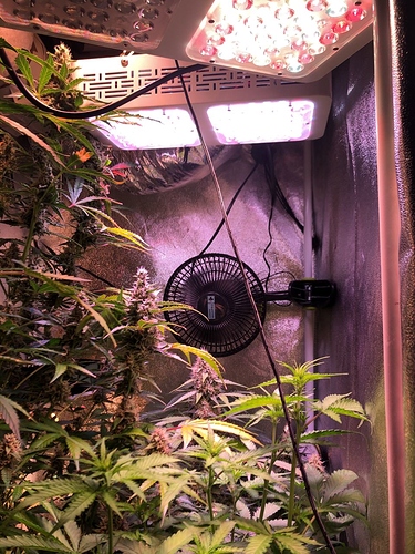 Growreport Bild 19