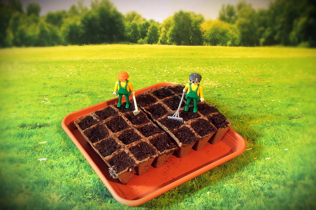 Growreport Bild 12