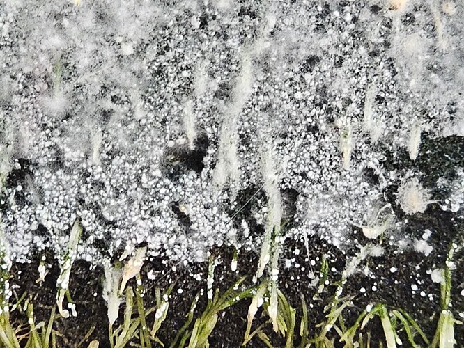 Growreport Bild 17