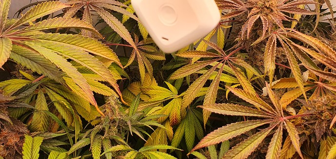 Growreport Bild 15
