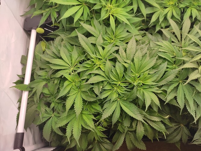 Growreport Bild 12