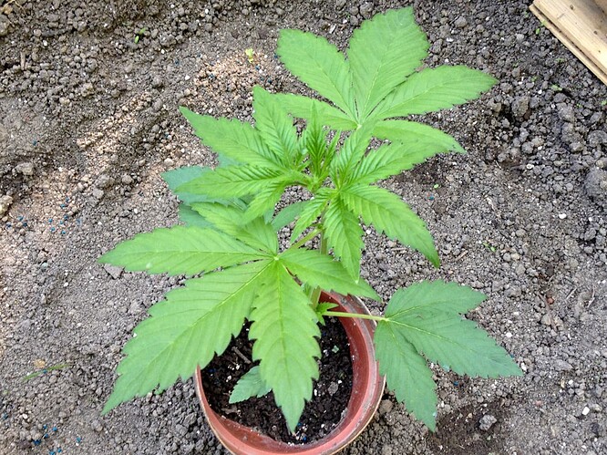 Growreport Bild 10