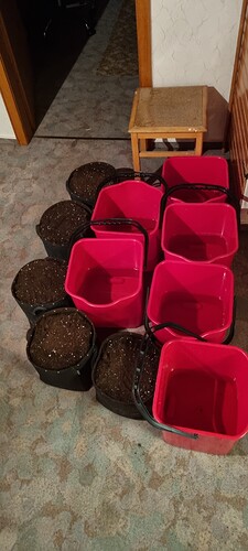 Growreport Bild 3