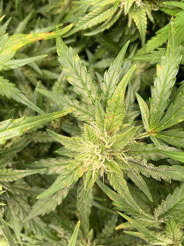 Growreport Bild 11