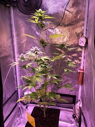Growreport Bild 14