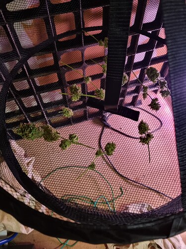 Growreport Bild 2