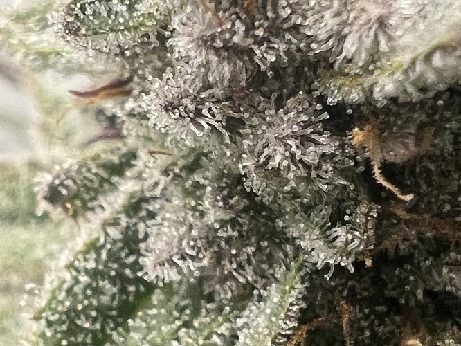 Growreport Bild 22
