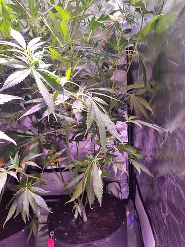 Growreport Bild 11