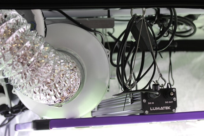 Growreport Bild 2