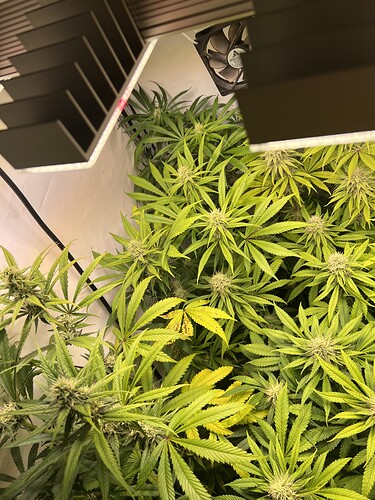 Growreport Bild 4