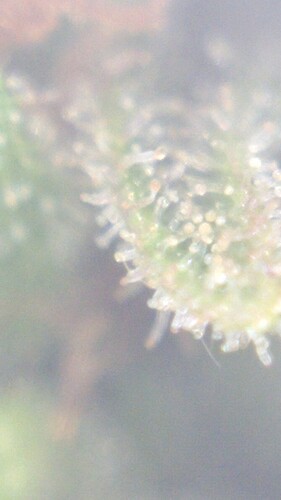 Growreport Bild 21