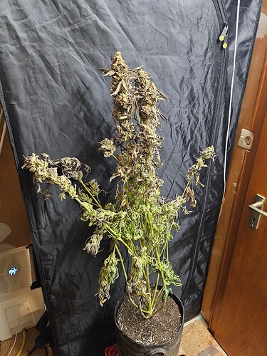 Growreport Bild 9