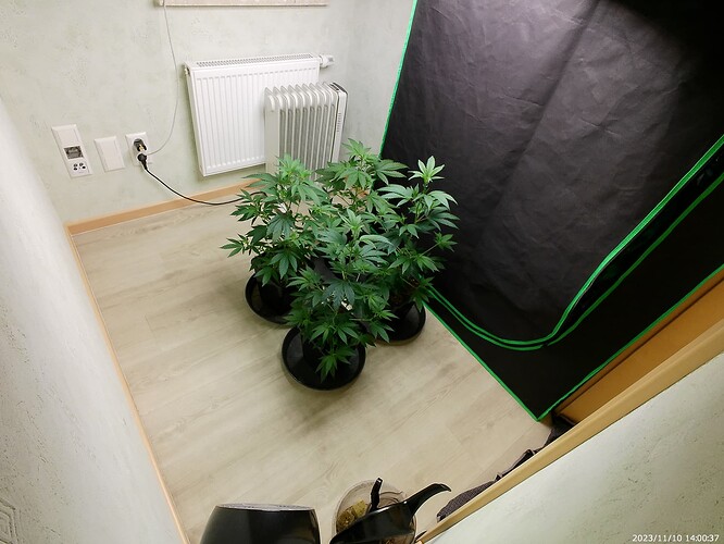 Growreport Bild 6