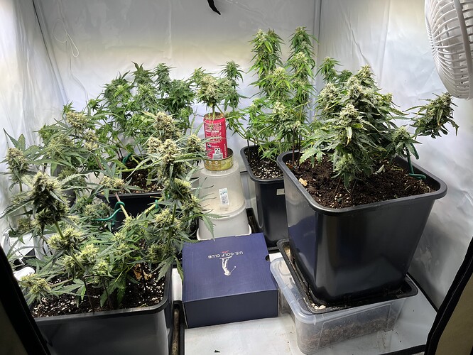 Growreport Bild 24