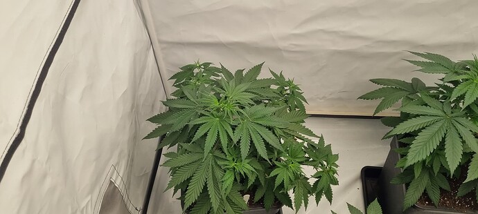 Growreport Bild 9