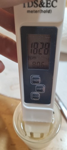 Growreport Bild 40